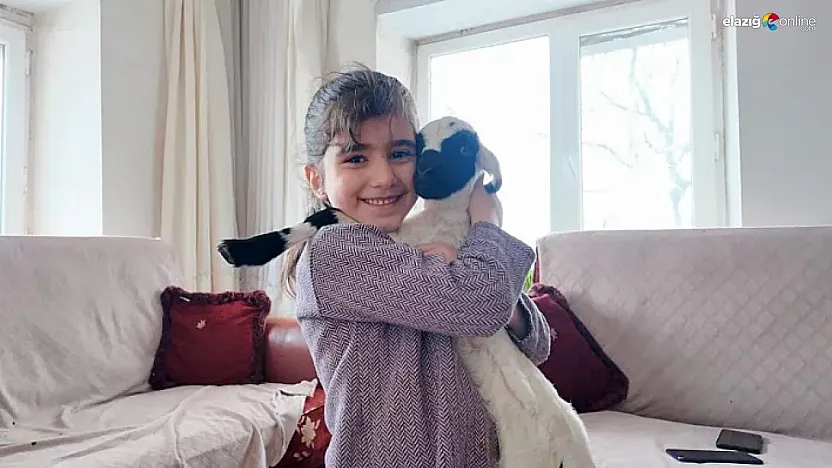 Ahırlar eve taşındı!