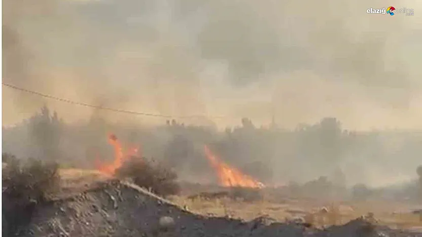 Elazığ Sakabaşı Köyü'nde Örtü Yangını Korkuttu!