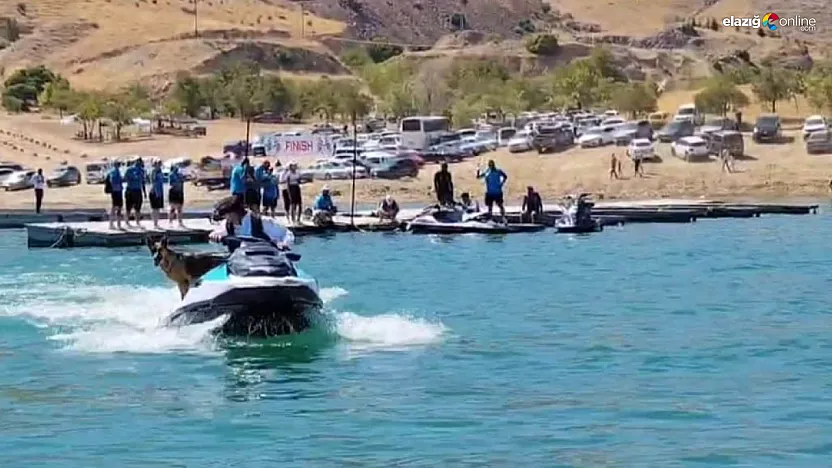 Elazığ Keban'da Bella İsimli Köpeğin Jet Ski Keyfi Festivale Damga Vurdu!
