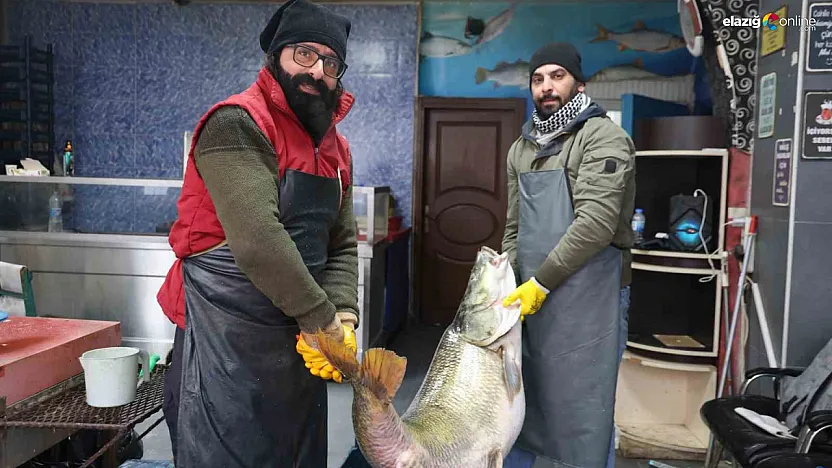 Palu'da 'Nehrin efendisi' yakalandı: 78 kiloluk turnayı görenler şaşkına döndü