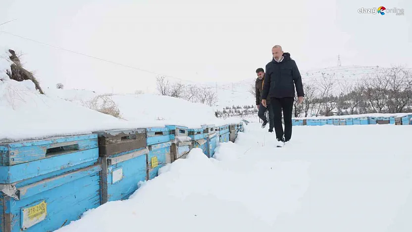 Böyle kışa can kurban! Elazığ'da kar, bal rekoltesine göz kırptı