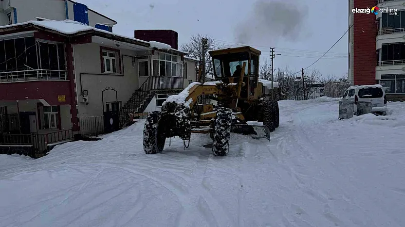 Beyaz örtü Karakoçan'ı kapladı! Ulaşımın durmaması için tam saha pres