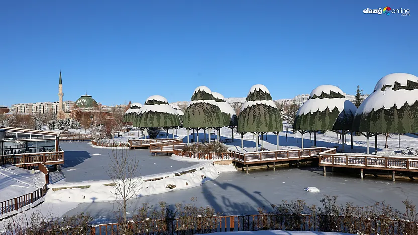 Kültür Park'ta Sibirya görüntüleri: Süs havuzları tamamen dondu