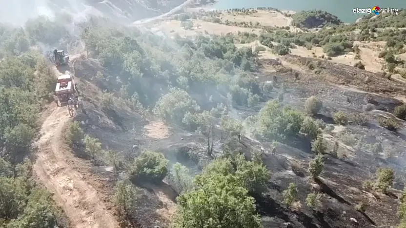 Elazığ Palu'da Orman Yangını: Gökdere ve Akbulut Köyleri Arasında Korkutan Alevler!