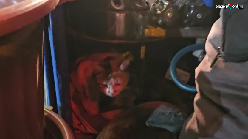 Bir kap sıcaklık, bir kap merhamet: Elazığ'da örnek davranış