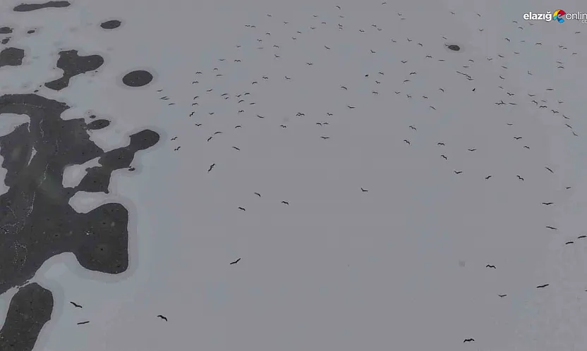 Termometreler çakıldı, Cip Barajı dondu: yürümek değil izlemek bile üşütüyor