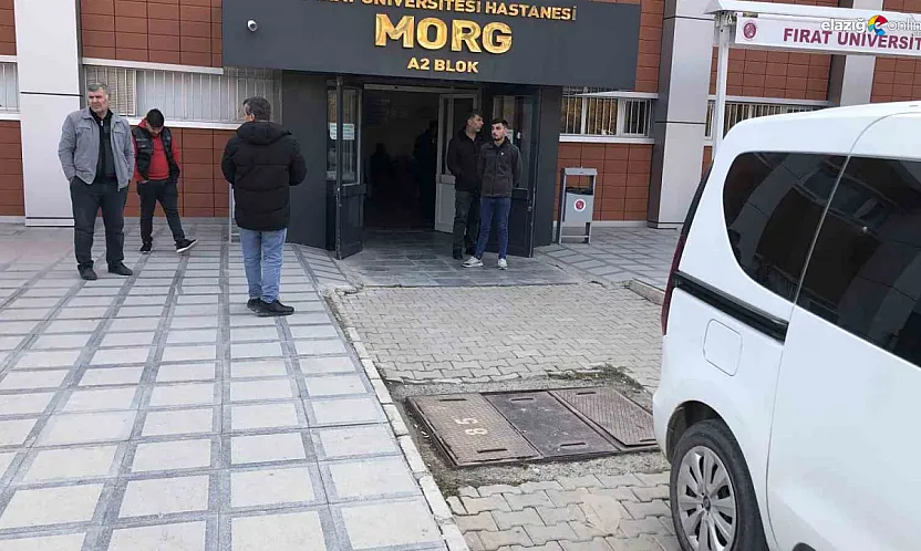 Elazığ'da Kadına Şiddet Günü Kanlı Başladı: 3 Çocuk Annesi Kocası Tarafından Öldürüldü