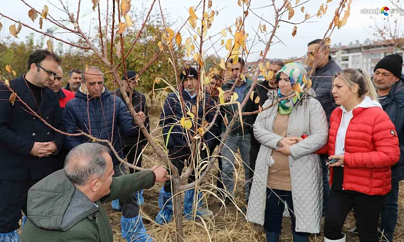 Elazığ'da Meyve Ağaçlarında Verim Artışı için Eğitim Seferberliği