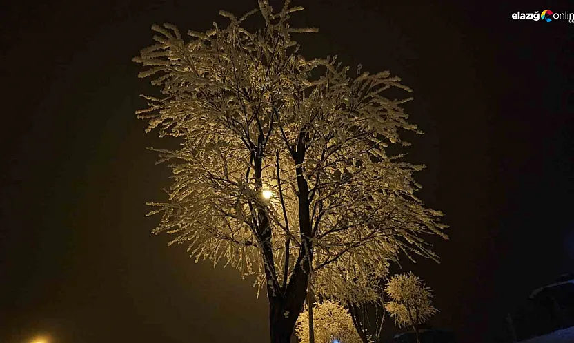 Elazığ buz kesti: Eksi 10 derecede şehir kristal örtüyle kaplandı!