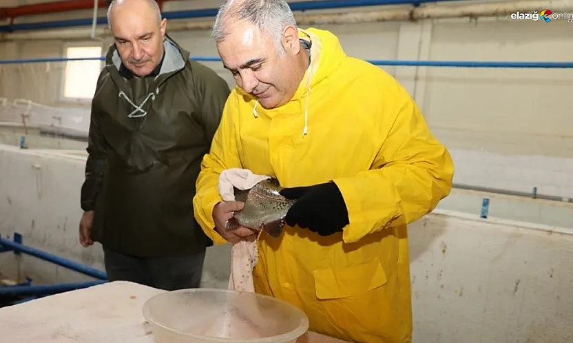 Elazığ'da su ürünleri üretimi tam gaz! Hedef 5 milyon yumurta