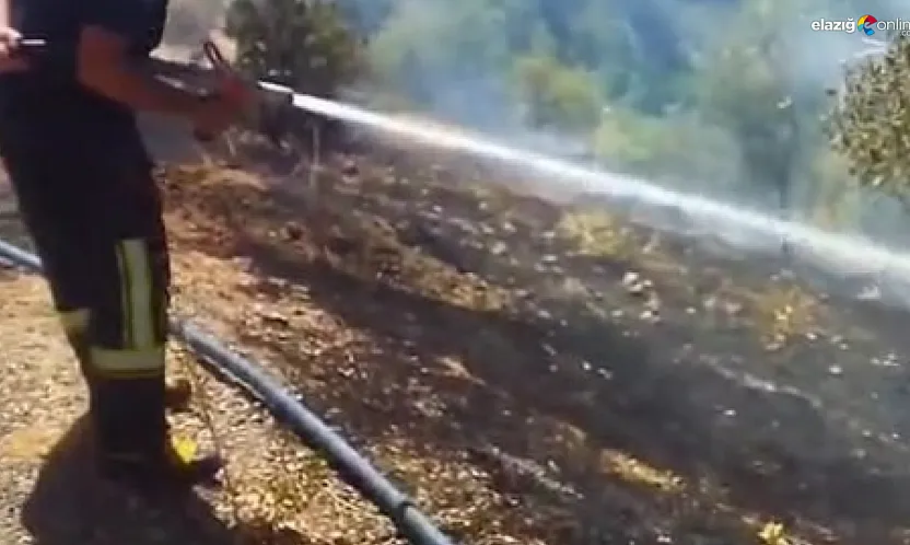 Elazığ'da Bahçede Çıkan Yangın Büyümeden Söndürüldü!