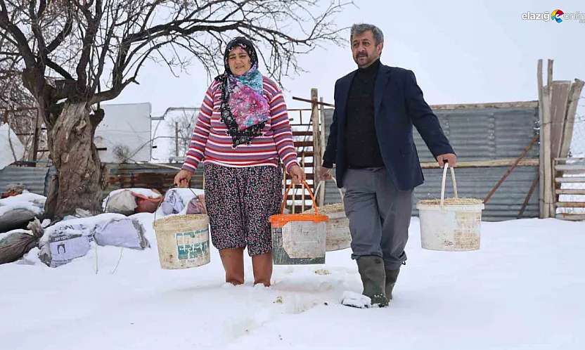 Hayvan beklemez, soğuk dinlemez: İşte Elazığlı besicinin şafak mesaisi