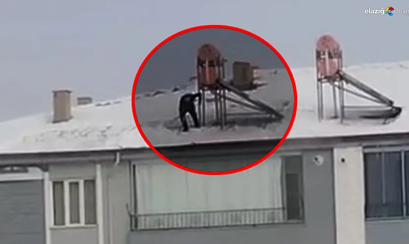 Elazığ'da çatıda tehlikeli kar mesaisi: Bir elinde kürek diğerinde Azrail