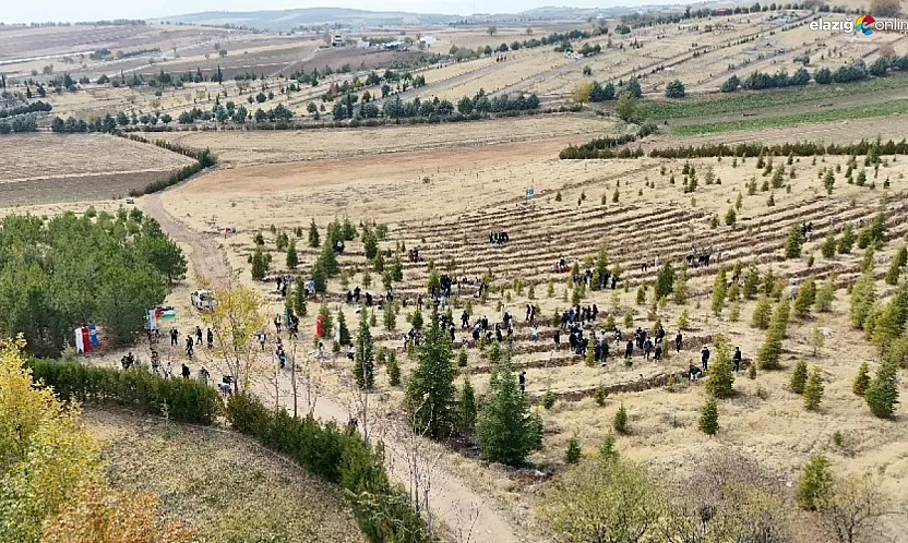 Fırat Üniversitesi'nden Minik Fidanlarla Büyük Mesaj: Barış Ve İnsanlık İçin Etkinlik!