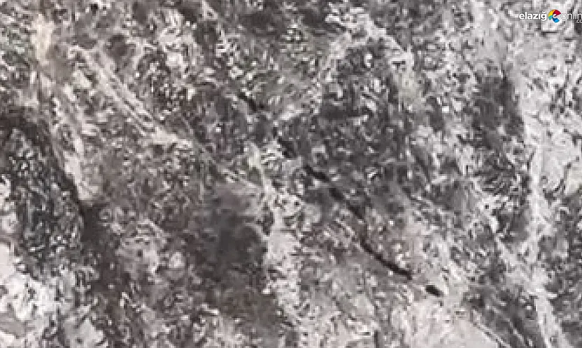 Kamerayı fark edince kaçtılar!