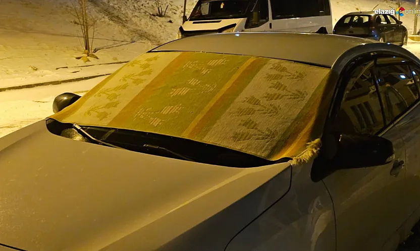 Gakgo usulü kış önlemi! Elazığ'da kilimler camlara serildi