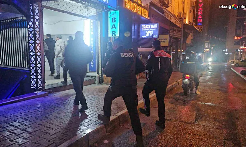 Elazığ'da huzur uygulaması: Eğlence mekanları ve araçlar tek tek arandı