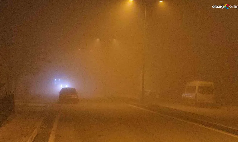 Elazığ'da gece bastıran sis sürücülere zor anlar yaşattı
