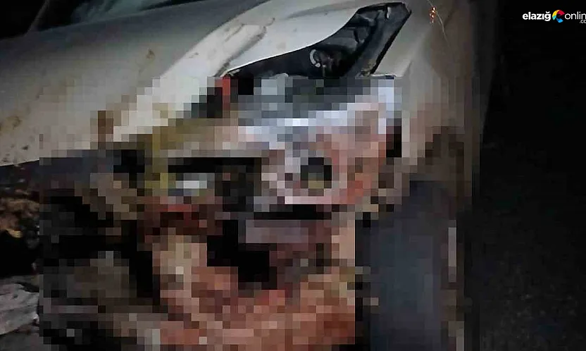 Yoldan Geçen Sürüye Kamyonet Çarptı: 30 Hayvan Telef Oldu!