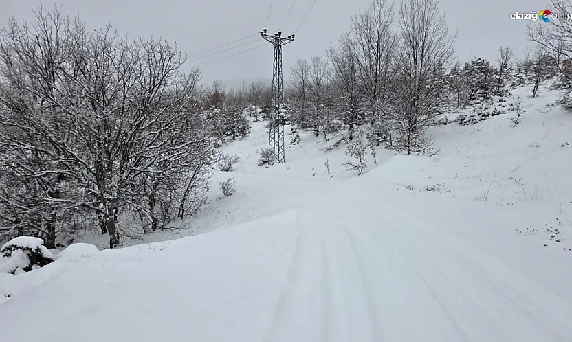 Elazığ'da beyaz alarm! 546 köyden 311'ine giriş çıkış yapılamıyor