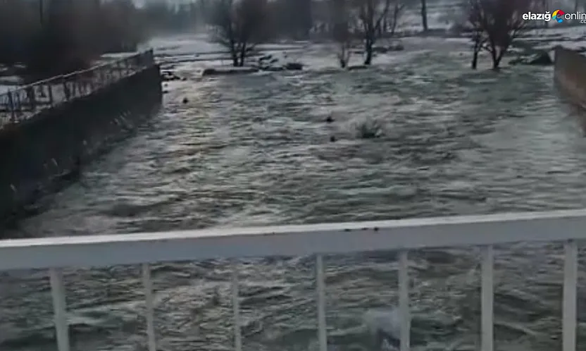 Kışın karı, baharın çilesi oldu: Karakoçan'da akarsular şahlandı!
