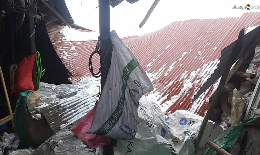 Maden'de fırtına kabusu: Köy marketinin çatısı kar altında çöktü