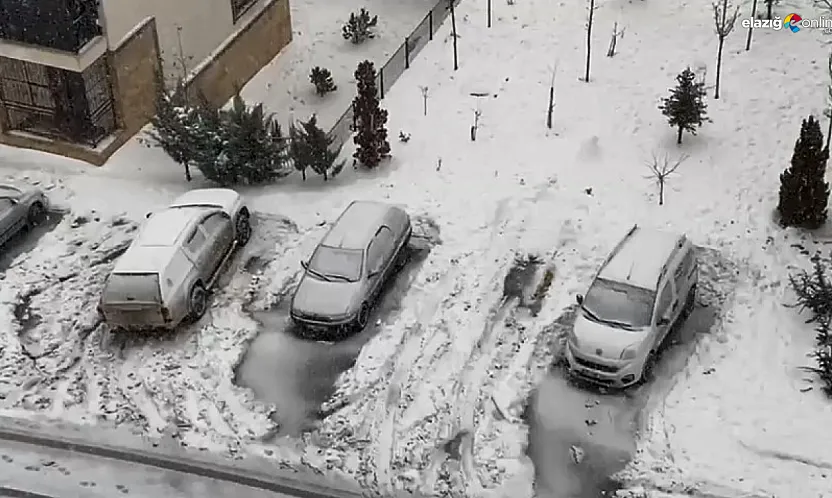 Elazığ'da kar mesaisi yeniden başladı