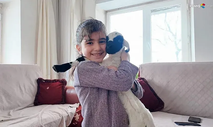 Ahırlar eve taşındı!