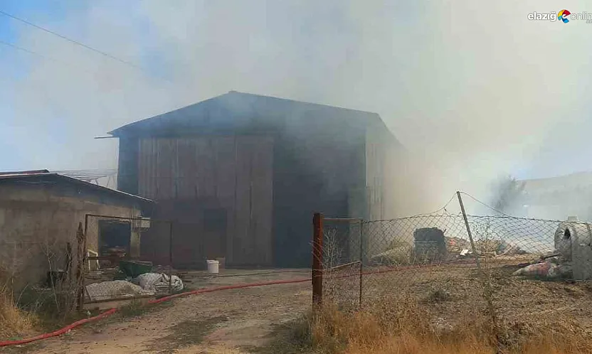 Elazığ Sarıçubuk Köyünde Samanlık Yangını Korkuttu!