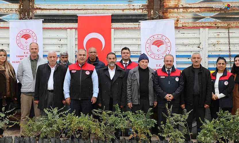 Tarım ve Orman Bakanlığı Elazığ'da Sumak Üretimini Destekliyor!