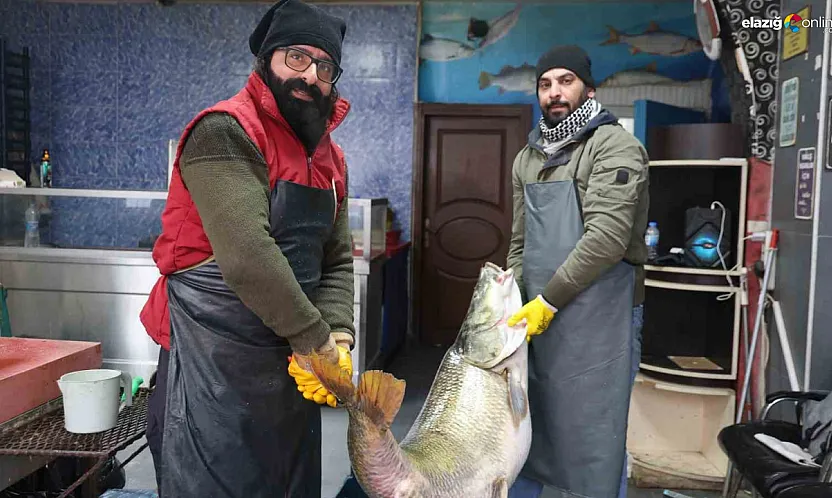 Palu'da 'Nehrin efendisi' yakalandı: 78 kiloluk turnayı görenler şaşkına döndü
