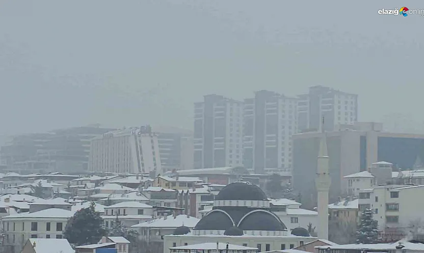 Elazığ'da beyaz kabus: Görüş mesafesi 10 metreye kadar düştü!