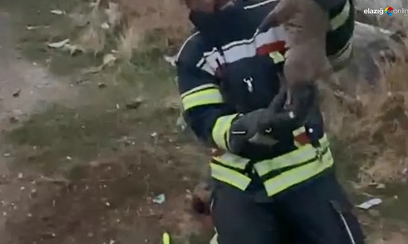 Köylüler fark etti, ekipler kurtardı