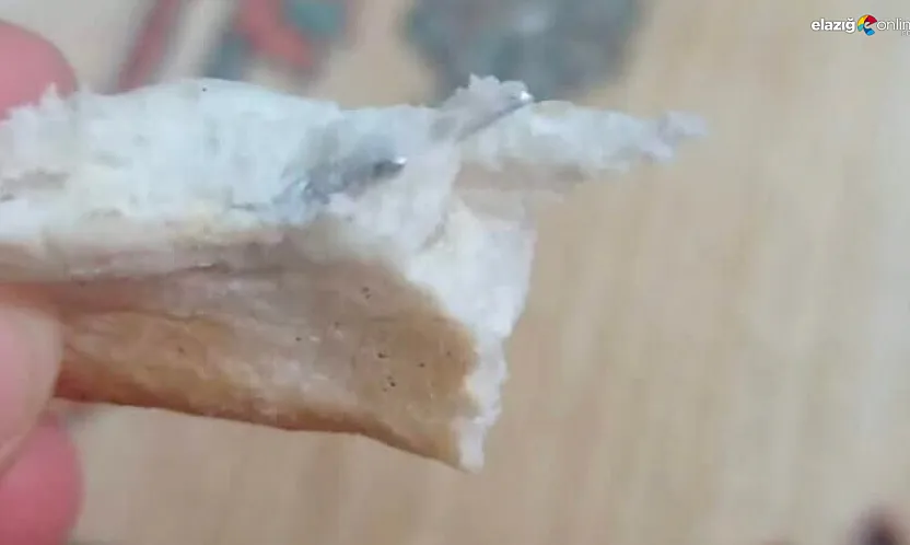 Fırın değil, sanki hırdavat dükkanı!