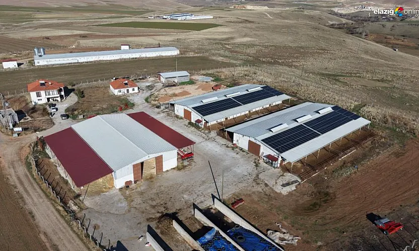 Hem et üretiyor hem elektrik: TKDK desteğiyle hayaller gerçek oldu!