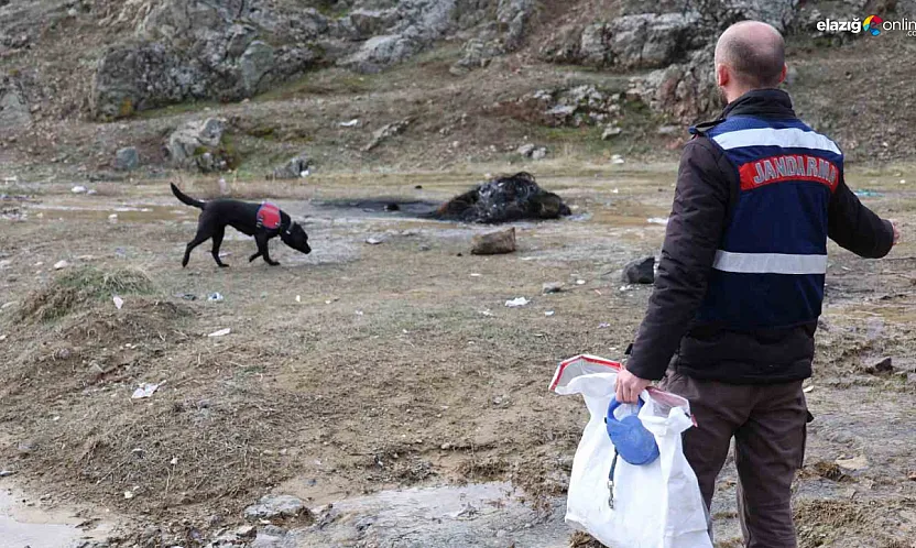 İbrahim dede her yerde aranıyor! Dronlar havada, dalgıçlar suda, 'Salkım' karada