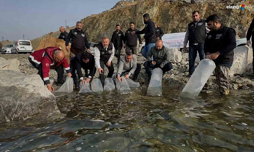 Elazığ'da Balık Stokları Güçleniyor: Karakaya Barajı'na Rekor Balıklandırma!