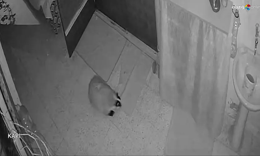 Köy evinde Porsuk sorunu alarmla çözüldü