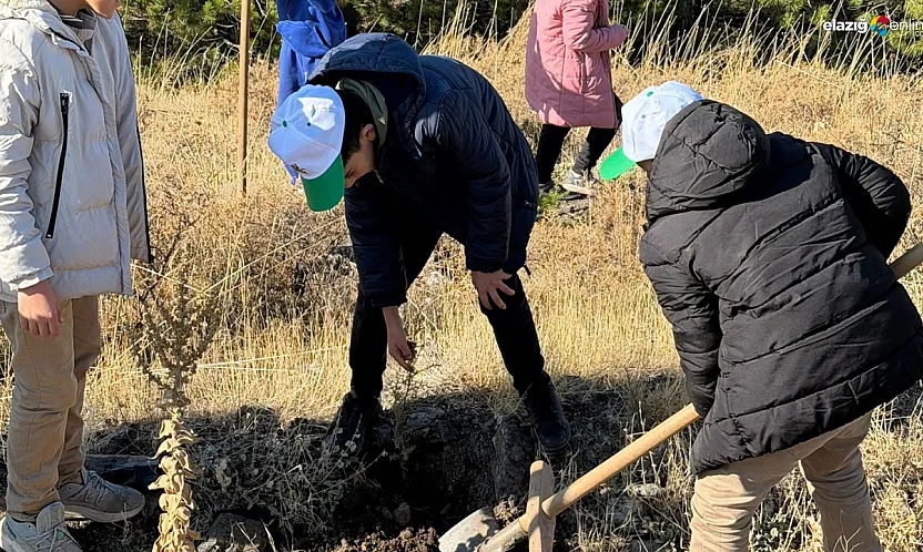 Sivrice'de Öğrenciler Geleceğe Nefes Oldu: Yeşil Vatan Fidanları Toprakla Buluştu!
