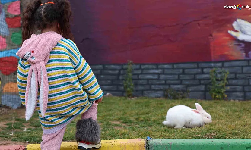 Elazığ'da uygulandı, EuroPris 2025'te birincilik aldı