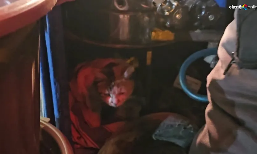 Bir kap sıcaklık, bir kap merhamet: Elazığ'da örnek davranış