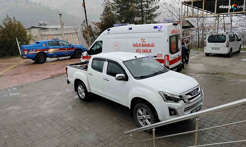 Keban'da av günü kanlı bitti: Arkadaşının silahından çıkan saçmalarla yaralandı