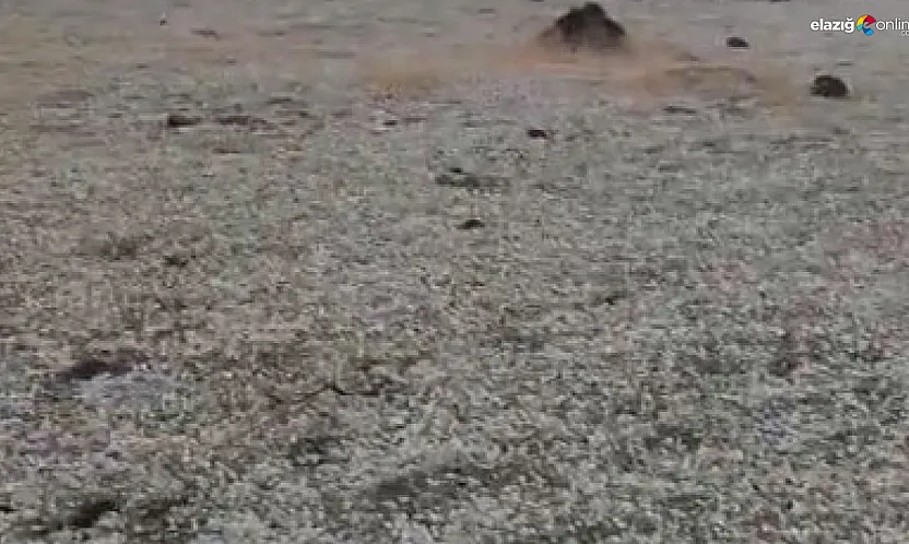 Ateşin Başında Otururken Yıldırım Düştü! O Anlar Kamerada!