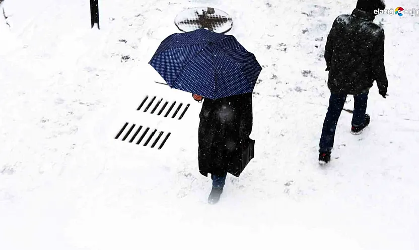 Elazığ'da yılın son sürprizi: Kar bereketiyle geldi!