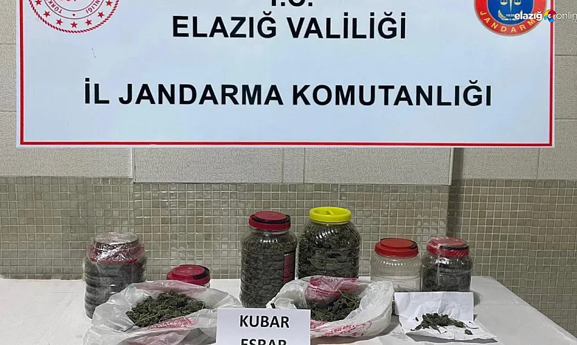 Jandarmanın hassas burnu 'Resim' affetmedi
