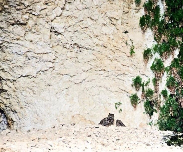 Haber Detay Görseli