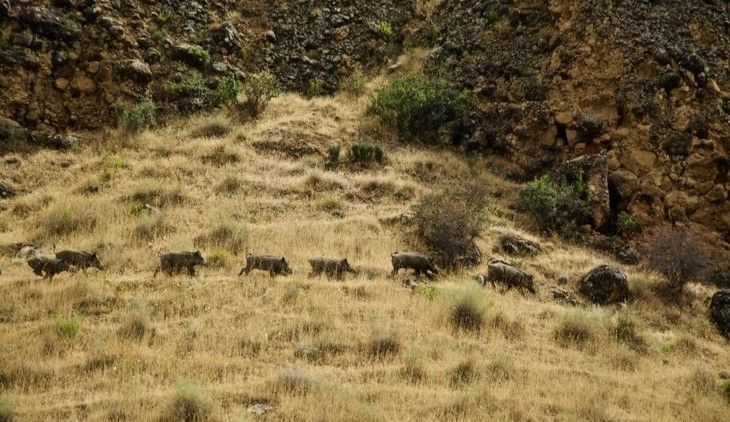 Haber Detay Görseli