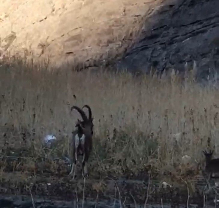 Haber Detay Görseli