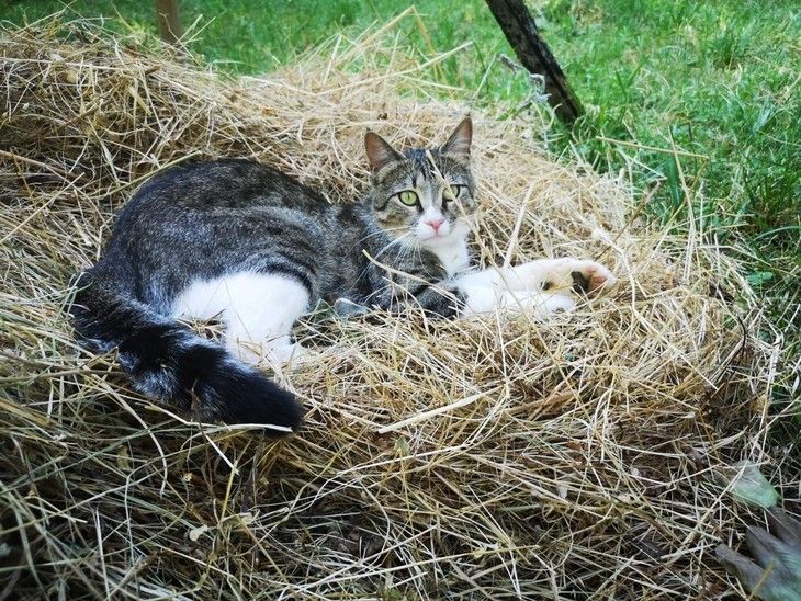 Haber Detay Görseli