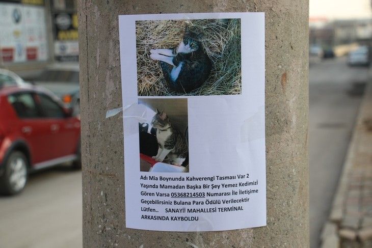 Haber Detay Görseli